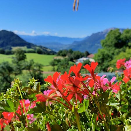 ホテル Moarhof メルティナ エクステリア 写真